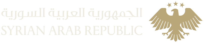 لوغو كامل للمنصة